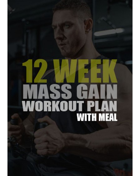 12 Weeks Workout Plan