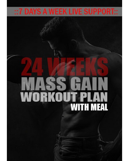 24 Weeks Workout Plan